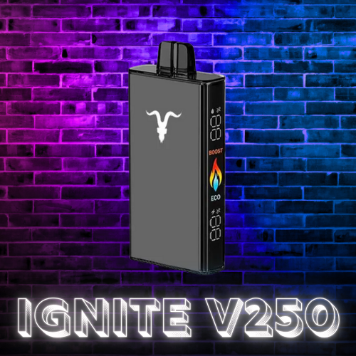 Foto promocional do modelo Ignite V250