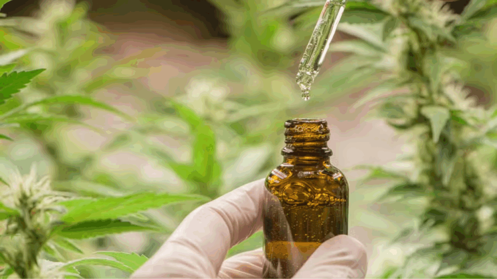 Foto do Post CBD e Medicina: como o Canabidiol está transformando os tratamentos de saúde