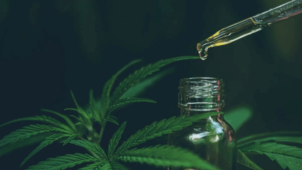 Ad do post CBD e Medicina: como o Canabidiol está transformando os tratamentos de saúde